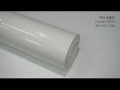 フィジカルディ